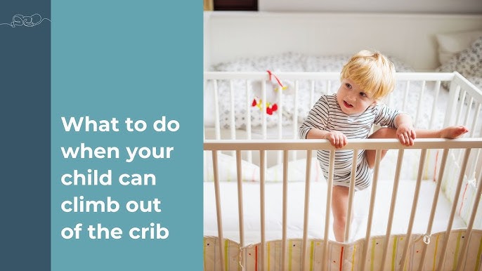 What To Do If Your Toddler Is Climbing Out Of The Crib