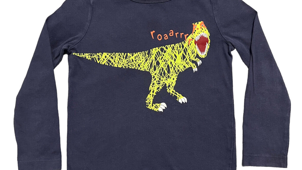 Roar in Style: Kids Navy Dinos And Blue Dino Print T-Shirts