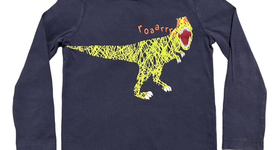 Roar in Style: Kids Navy Dinos And Blue Dino Print T-Shirts