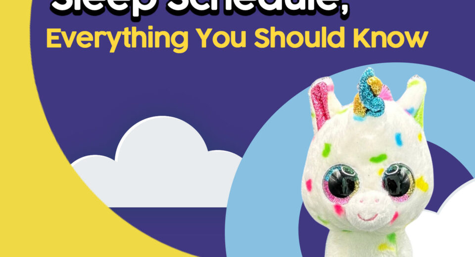 3 Months Old Sleep Schedule Everything You Should Know