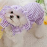 Summer Fashion Styles For Toddlers Boys And Girls: Adorable Trends