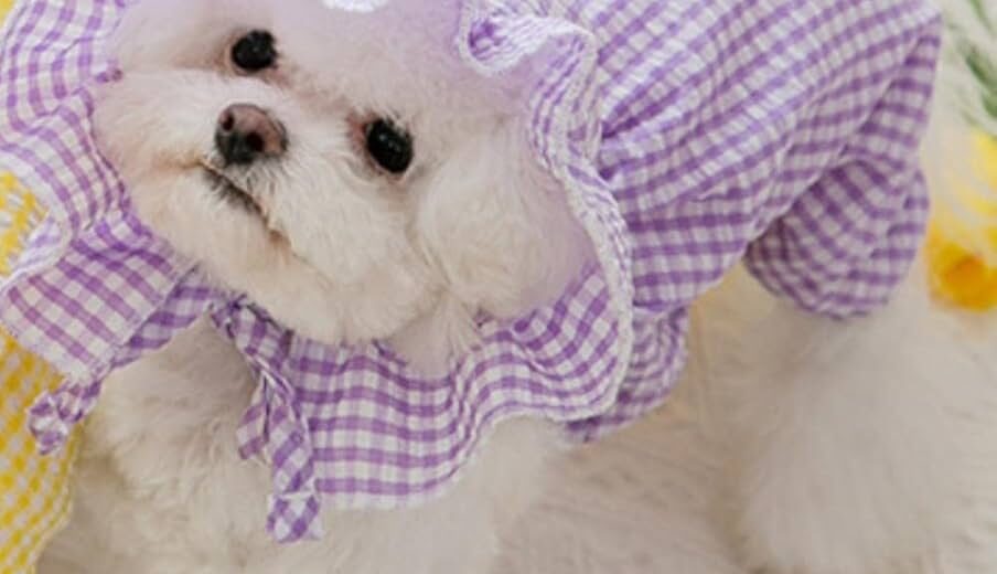 Tips For Choosing Adorable Summer Clothes For Girls